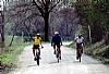 Florence by Bike Rentals and Tours
