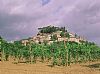 Cetona