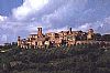 Collepepe