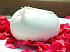 Mozzarella di Bufala