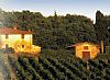 Tuscany Wine Tours by La Cornucopia Italia