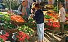 Biological Market