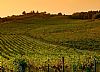 An itinerary to discover the Chianti Region