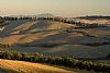 Ghizzano di Peccioli