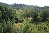 Nievole