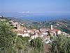 Pollica