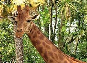 Zoo in Pistoia