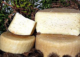 Pecorino Bagnolese