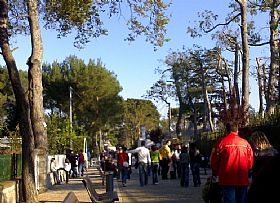 Selva Di Fasano Town In Puglia Italy
