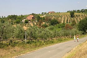 Winery Tenuta San Vito