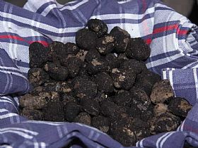 Black Truffle Festival of Norcia