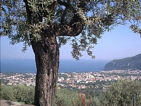 Piano di Sorrento