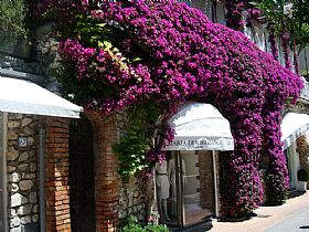 Shopping on Capri