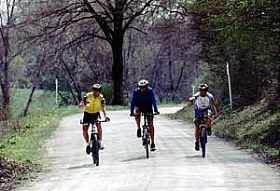 Florence by Bike Rentals and Tours