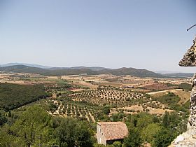 Pescia Fiorentina