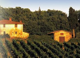 Tuscany Wine Tours by La Cornucopia Italia