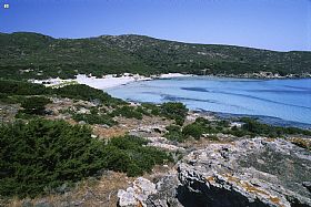 National Park of Asinara Island