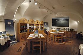 Regional Wine Cellar in Jesi