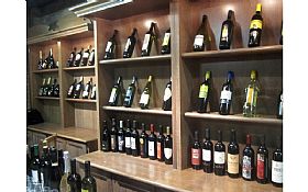 Regional Wine Cellar in Offida