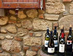 Wines of Marche