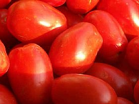 San Marzano Tomato of Agro Nocerino Sarnese DOP