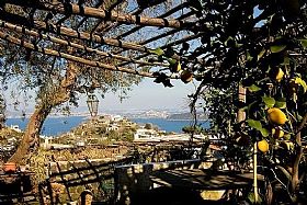 La Vigna di Alberto Restaurant