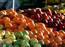 Tuscan Farmer Markets