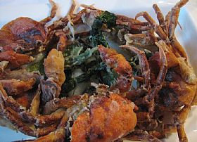 Fried Moleche