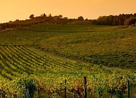 An itinerary to discover the Chianti Region