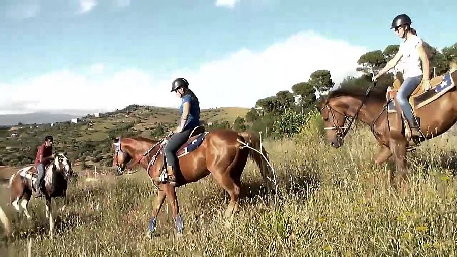 Lancellotti Ranch Horse Rides