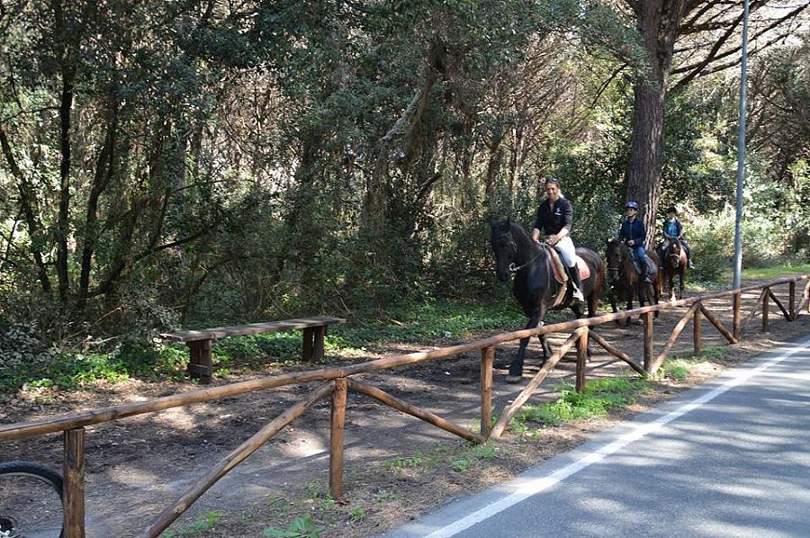 Horse Stables San Goro