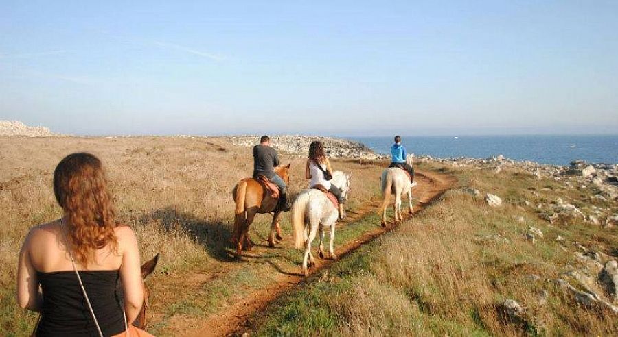 Horse Stables Porto Cesareo
