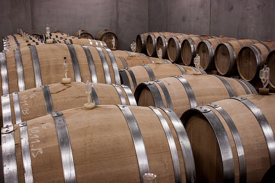 Puglia Winery and Food Tour