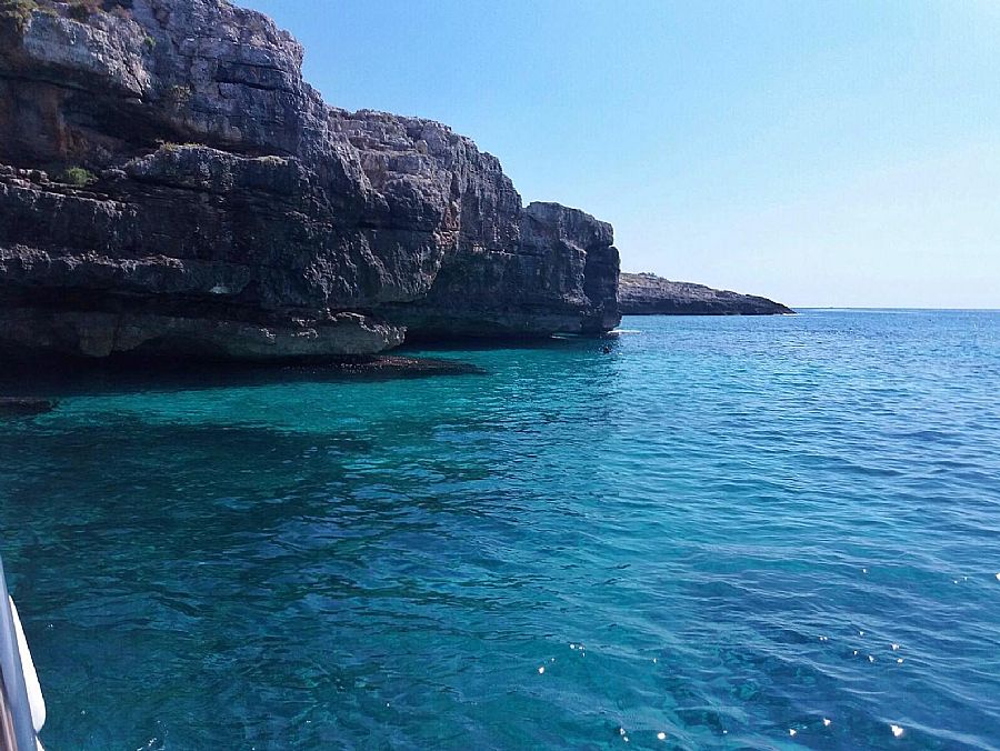 Boat Excursions Livio Licci