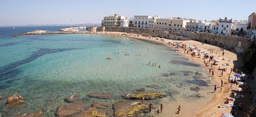 Bagers Sunbathe In The Beach Of Purity In The Historic