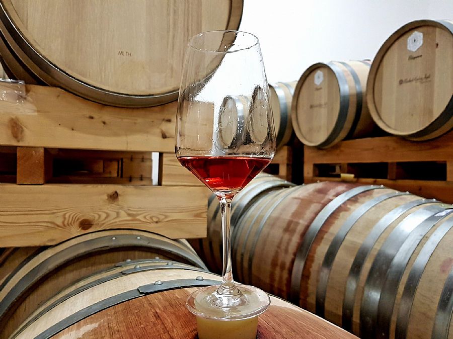 Winery Michele Calo' e Figli