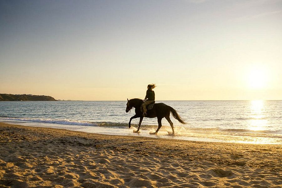 La Bandita Horse Stables