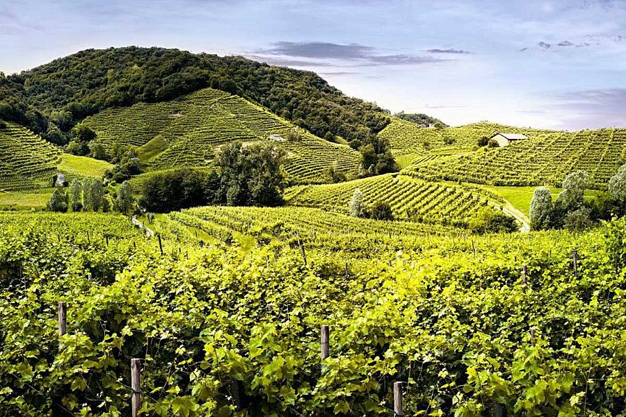 Guided Tours Around Veneto