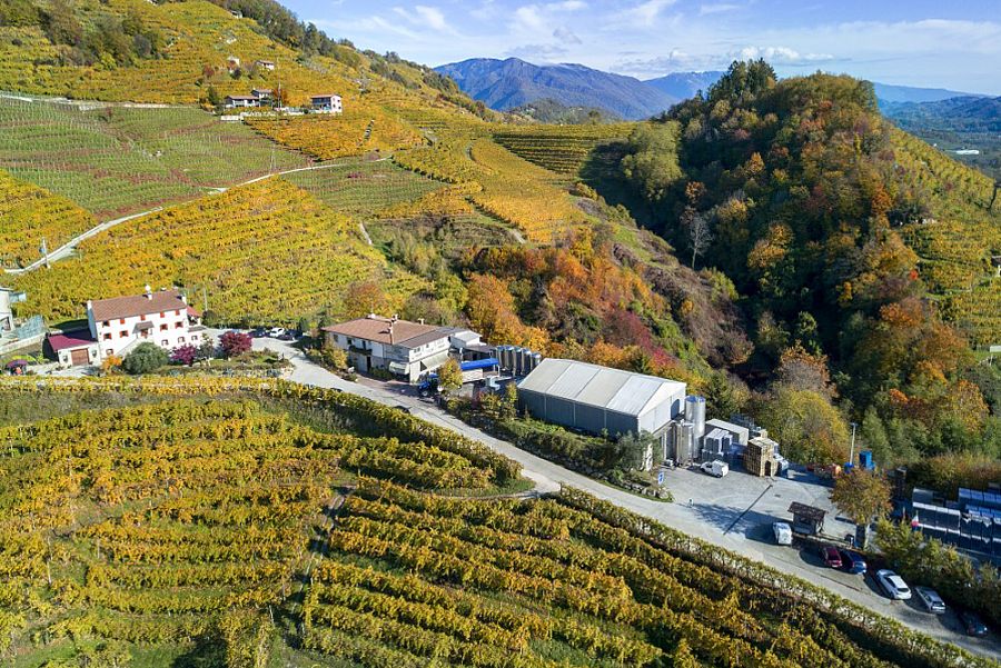 Serre Prosecco Winery
