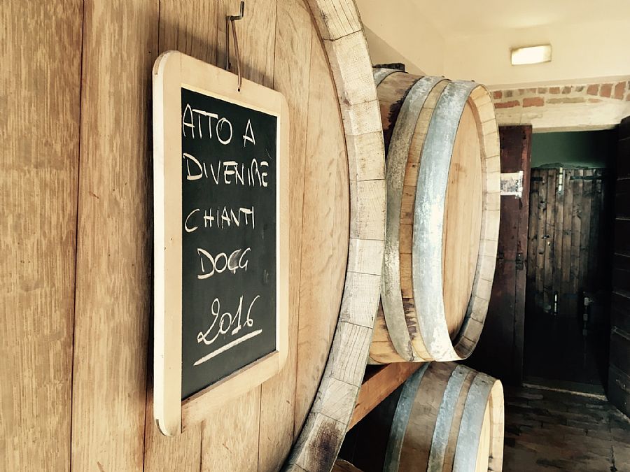 Winery La Cignozza