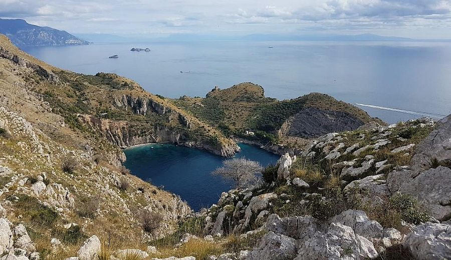 Athena Trail