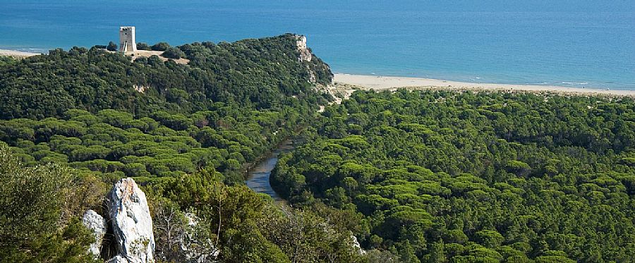 Maremma Regional Park
