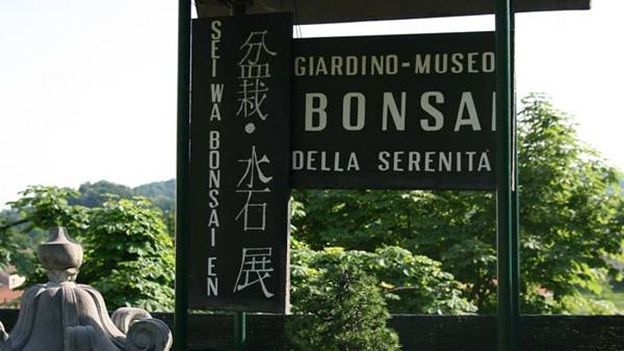 Bonsai Museum of Serenity