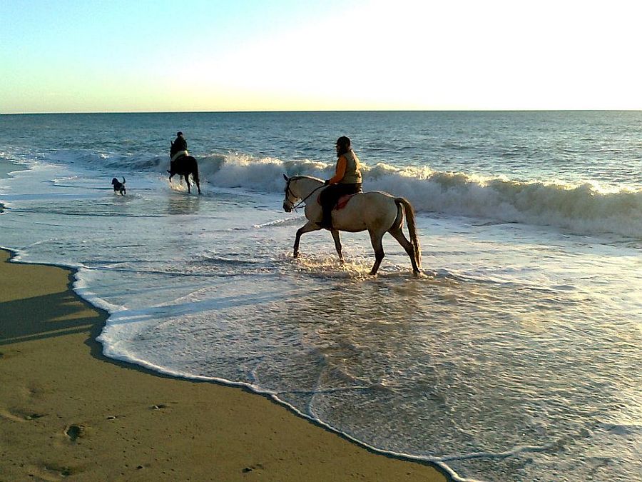 Horse Rides Centola Palinuro