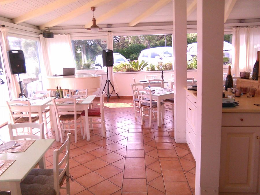 Harrys Bar and Food