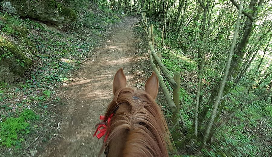 Horse Rides Albinia CM Equitazione