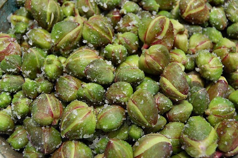 Pantelleria Capers and Foods Cooperative