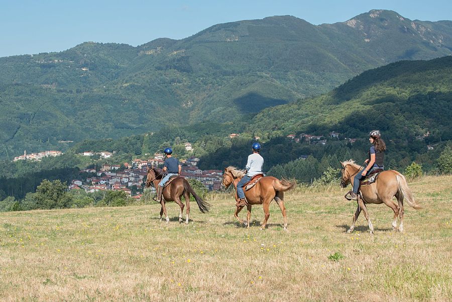 Horse Rides San Marcello