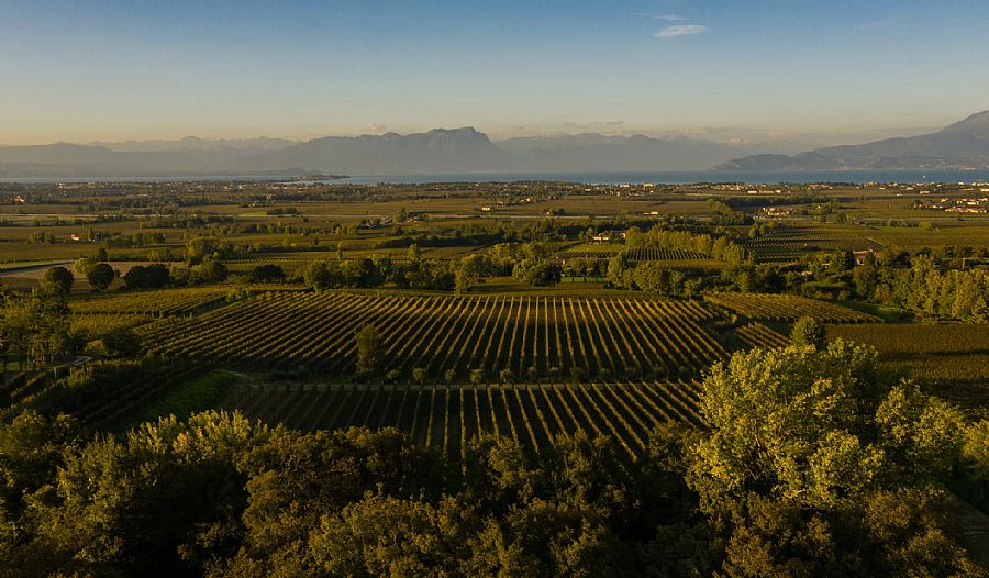 Poggio al Garda Winery