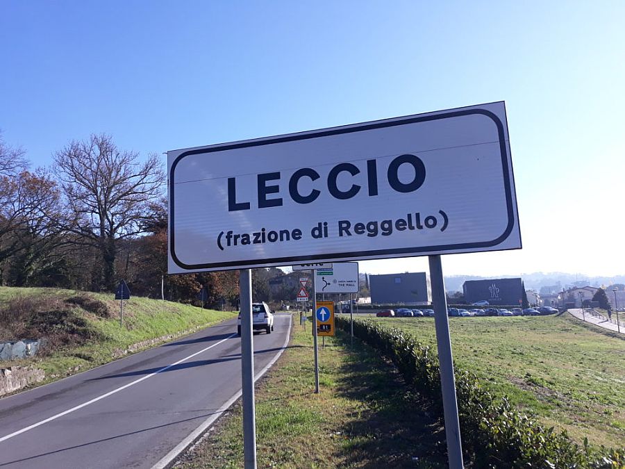 Leccio